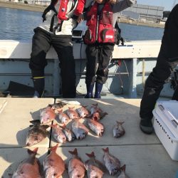 リトルワン 釣果