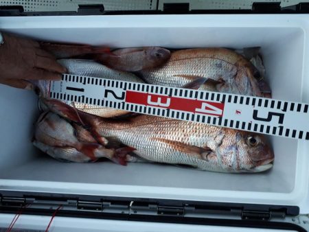 釣り船くわだ 釣果