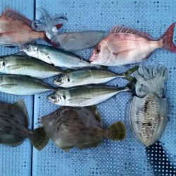 第二常豊丸 釣果