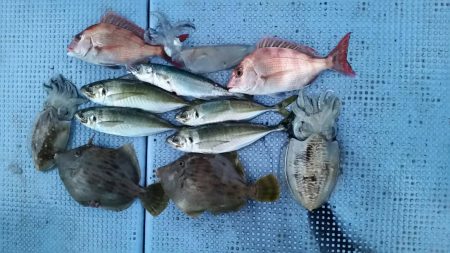 第二常豊丸 釣果