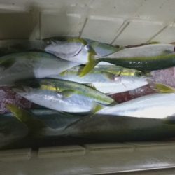 釣り船武蔵 釣果