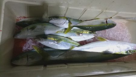 釣り船武蔵 釣果