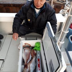 釣り船くわだ 釣果