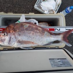 釣り船くわだ 釣果