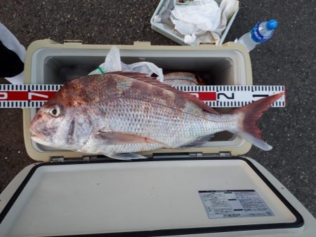 釣り船くわだ 釣果