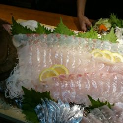 リトルワン 釣果