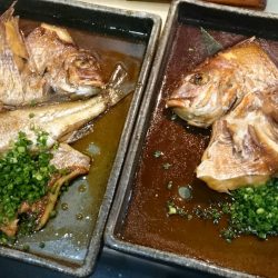 リトルワン 釣果