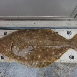 釣り船武蔵 釣果