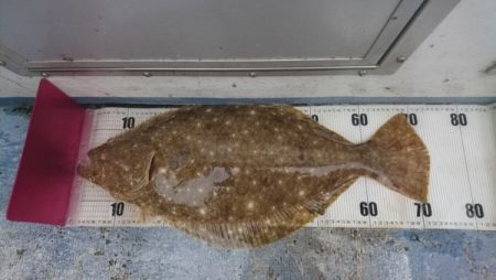 釣り船武蔵 釣果