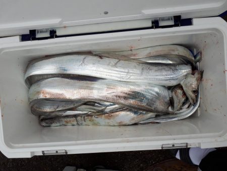 釣り船くわだ 釣果