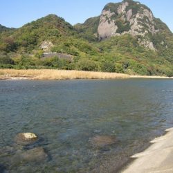 狩野川(狩野川漁業協同組合) 釣果