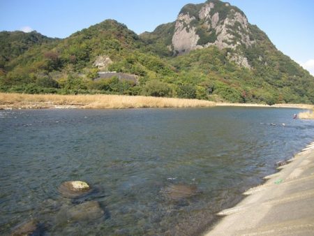 狩野川(狩野川漁業協同組合) 釣果