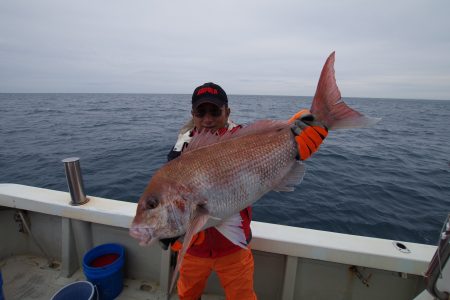 オーシャンズ　京都 釣果