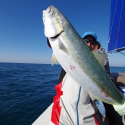 オーシャンズ　京都 釣果
