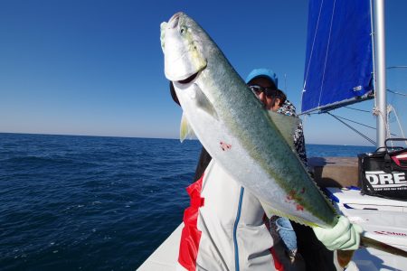 オーシャンズ　京都 釣果