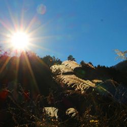 小菅トラウトガーデン 釣果