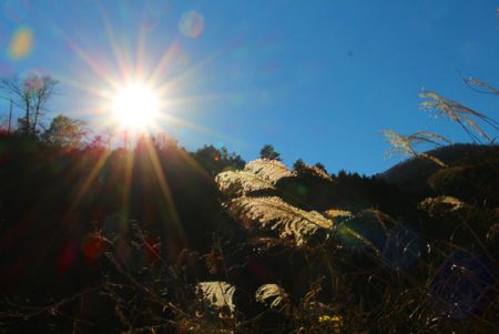 小菅トラウトガーデン 釣果