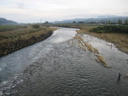 狩野川(狩野川漁業協同組合) 釣果