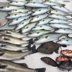 ふじしめ丸 釣果