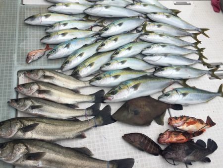 ふじしめ丸 釣果