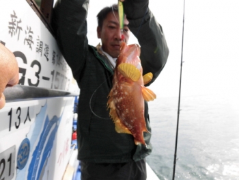 鯛紅丸 釣果