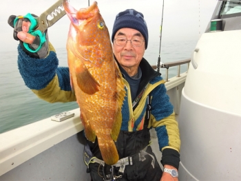 鯛紅丸 釣果