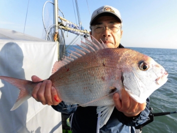 鯛紅丸 釣果