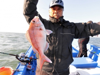 鯛紅丸 釣果