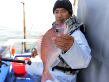 鯛紅丸 釣果