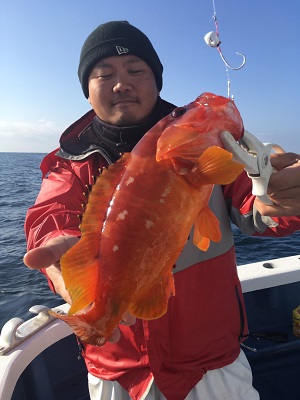 松栄丸 釣果
