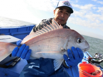 鯛紅丸 釣果