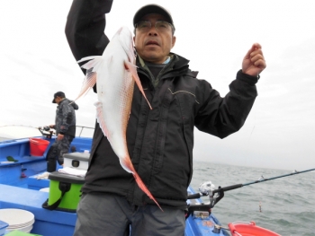 鯛紅丸 釣果