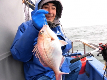 鯛紅丸 釣果