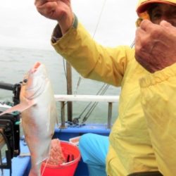 鯛紅丸 釣果