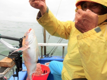 鯛紅丸 釣果