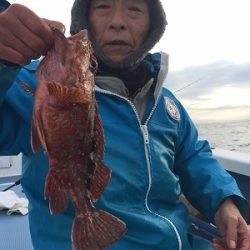 松栄丸 釣果