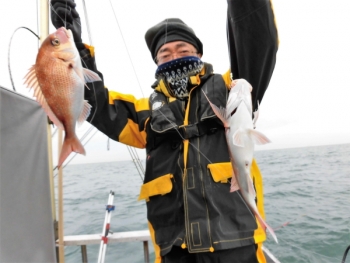 鯛紅丸 釣果