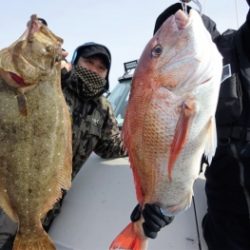 鯛紅丸 釣果