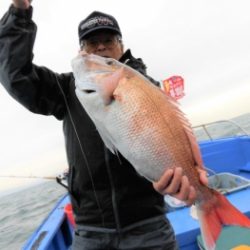 鯛紅丸 釣果