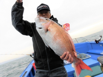 鯛紅丸 釣果