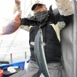 鯛紅丸 釣果