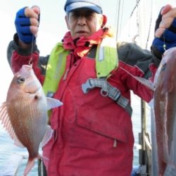 鯛紅丸 釣果
