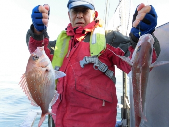 鯛紅丸 釣果