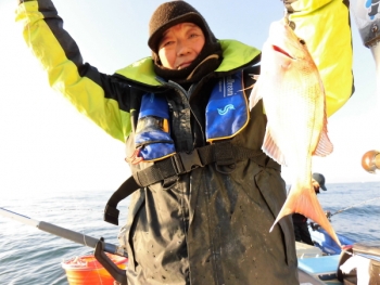 鯛紅丸 釣果