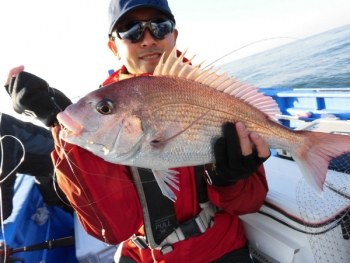 鯛紅丸 釣果