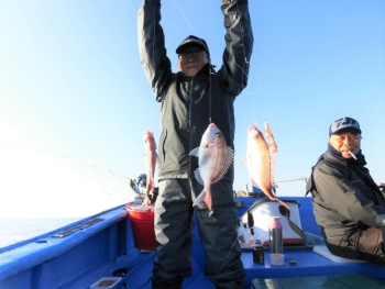鯛紅丸 釣果