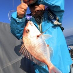 鯛紅丸 釣果