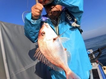鯛紅丸 釣果