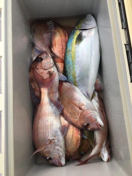 龍宮丸 釣果