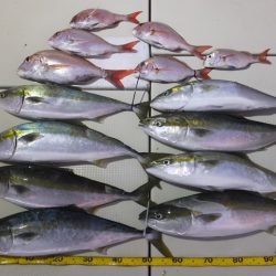 Hit Rush(ヒット ラッシュ） 釣果